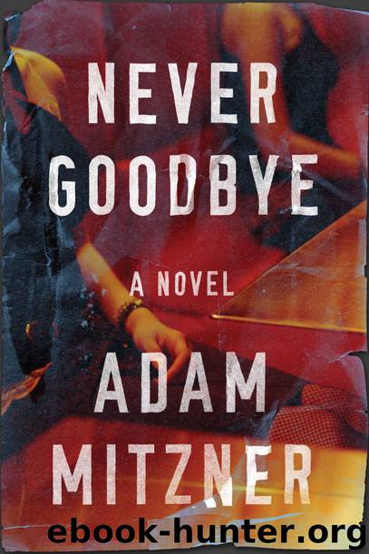 Never Goodbye by Adam Mitzner