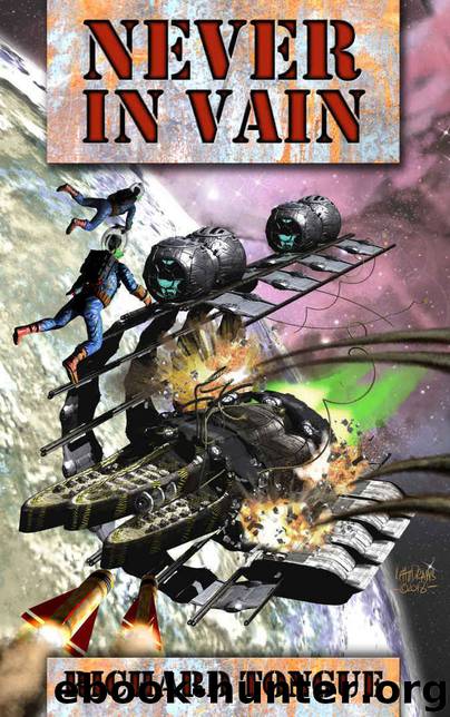 Never In Vain (Lincoln's War Book 2) by Richard Tongue