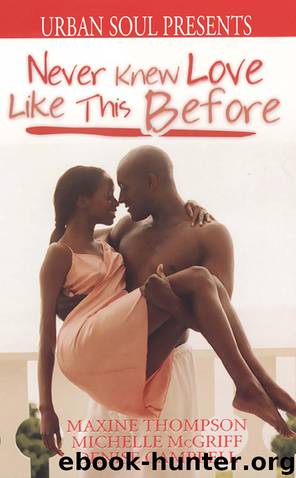Never Knew Love Like This Before by Denise Campbell
