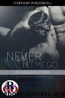 Never Let Me Go by Angelique Voisen
