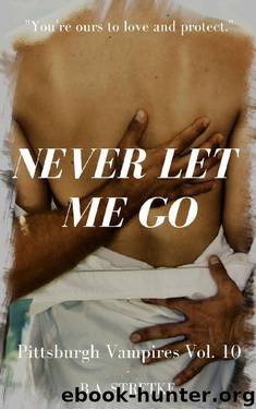 Never Let Me Go by B A Stretke