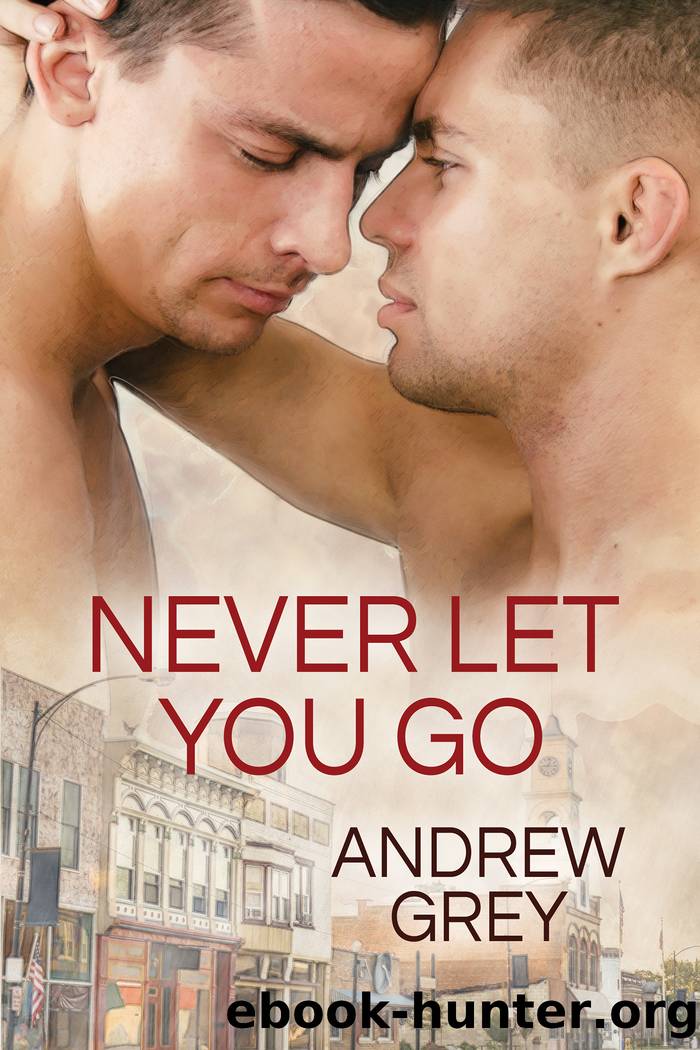 Never Let You Go by Andrew Grey