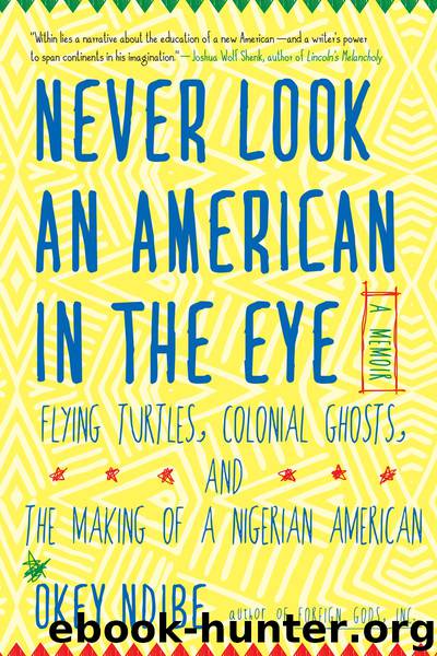 Never Look an American in the Eye by Okey Ndibe