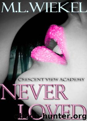 Never Loved (Crescent View Academy) by Lucille Wiekel