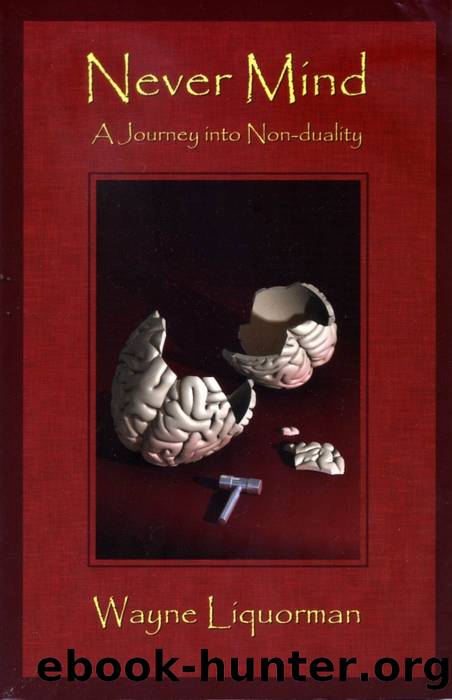 Never Mind - A Journey into Non-duality by Liquorman Wayne