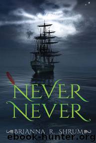 Never Never by Brianna Shrum