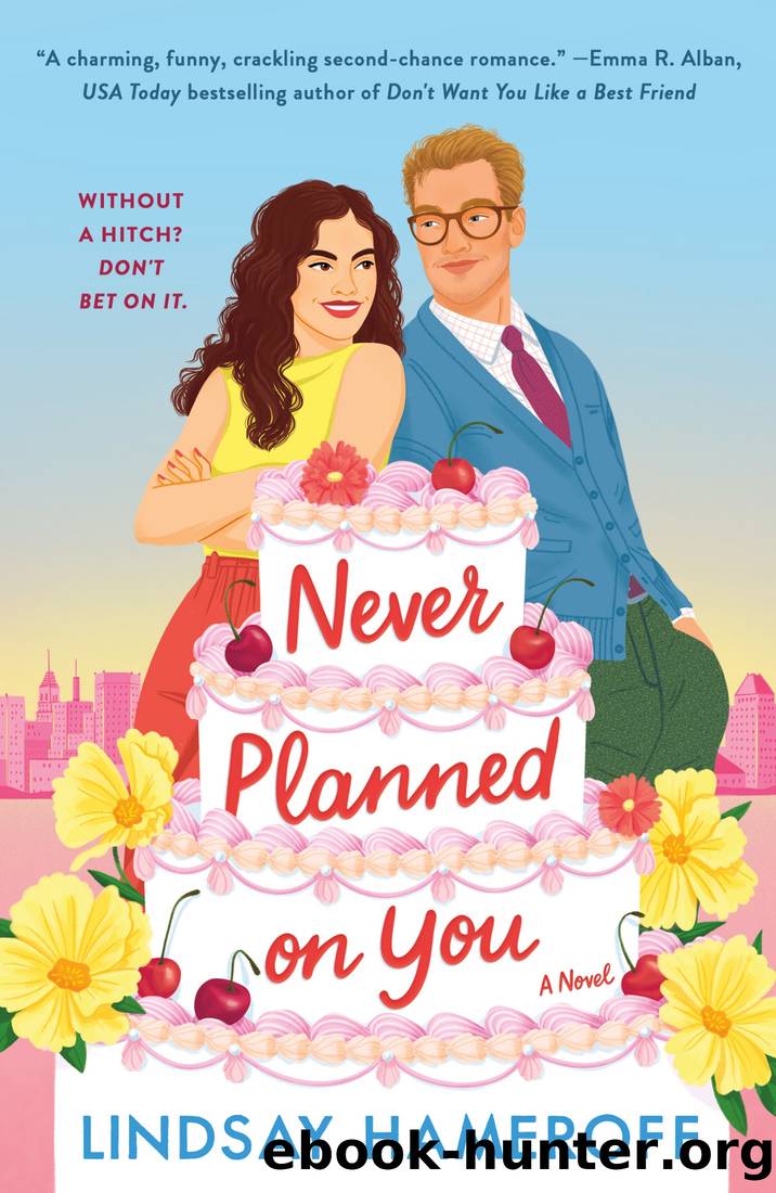 Never Planned on You by Lindsay Hameroff