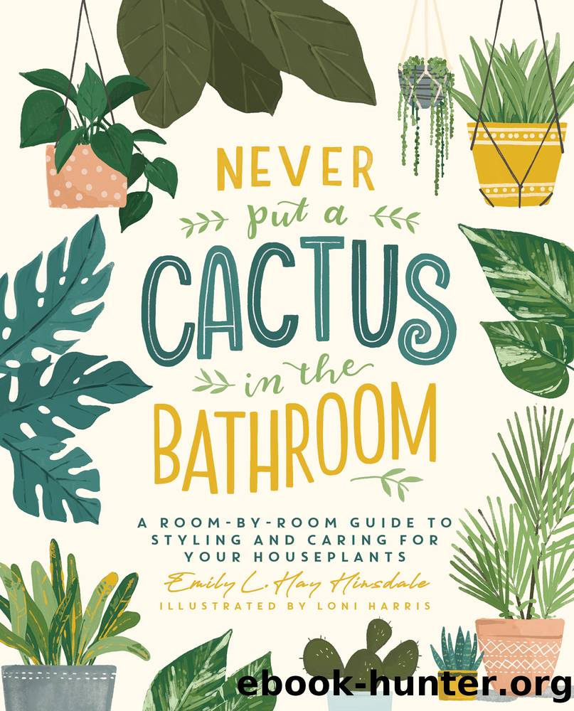 Never Put a Cactus in the Bathroom by Emily L. Hay Hinsdale
