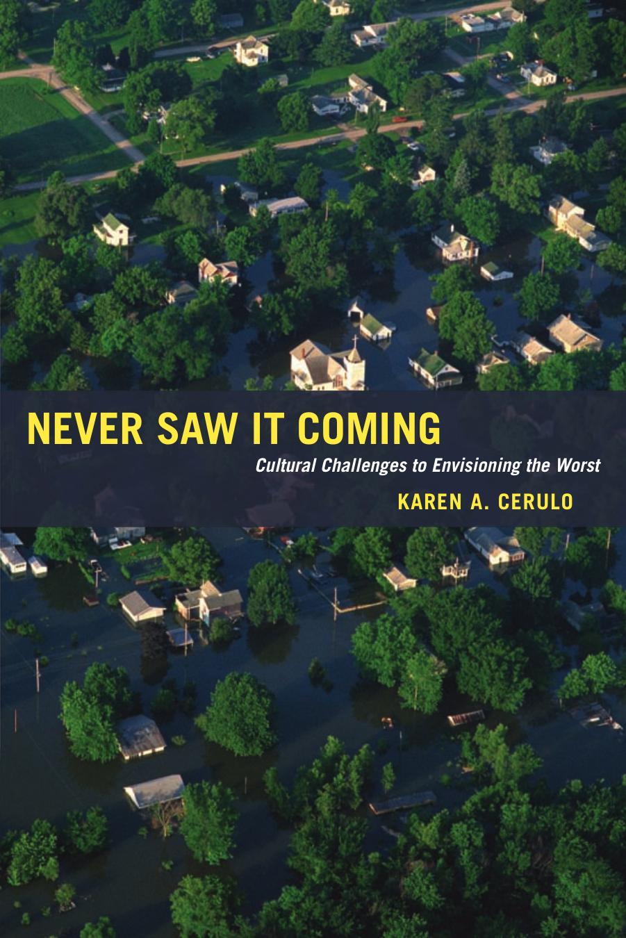 Never Saw It Coming: Cultural Challenges to Envisioning the Worst by Karen A. Cerulo