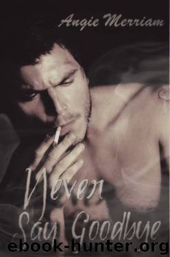 Never Say Goodbye by Angie Merriam