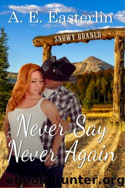 Never Say Never Again by A. E. Easterlin