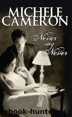 Never Say Never by Michele Cameron