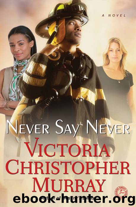 Never Say Never by Victoria Christopher Murray