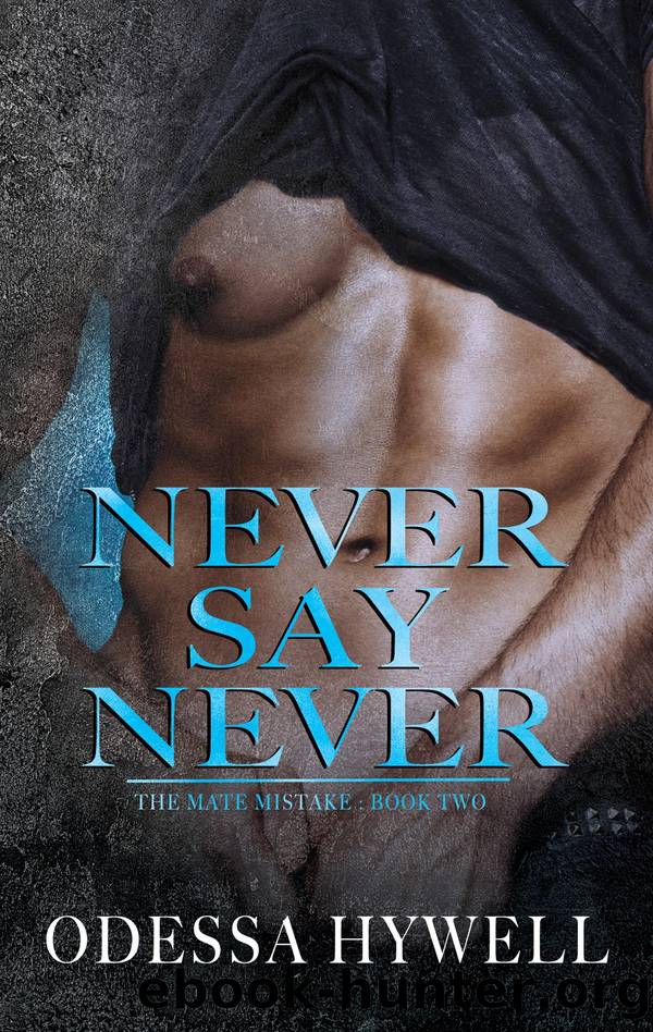 Never Say Never: Mate Mistake #2 by By Odessa Hywell