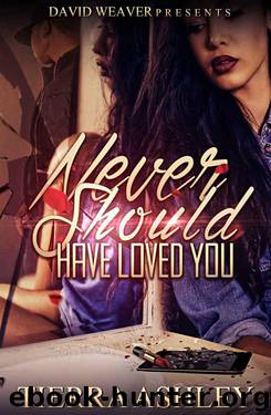 Never Should Have Loved You by Ashley Tierra
