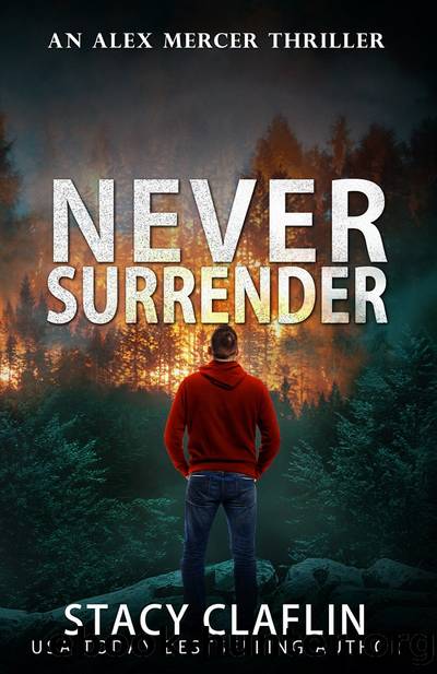 Never Surrender by Stacy Claflin