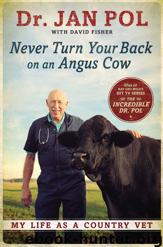Never Turn Your Back on an Angus Cow by Dr. Jan Pol
