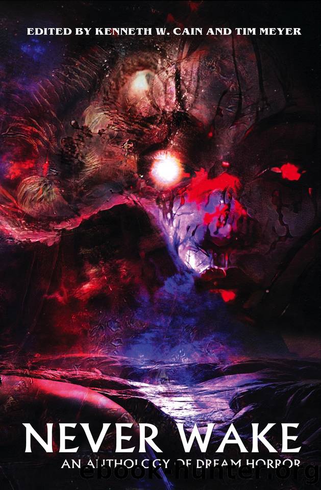 Never Wake: An Anthology of Dream Horror by unknow