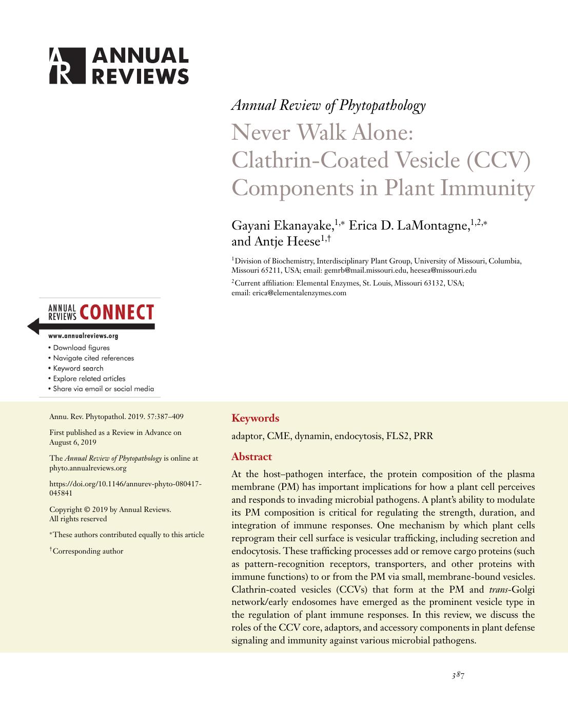 Never Walk Alone: Clathrin-Coated Vesicle (CCV) Components in Plant Immunity by Gayani Ekanayake Erica D. LaMontagne Antje Heese