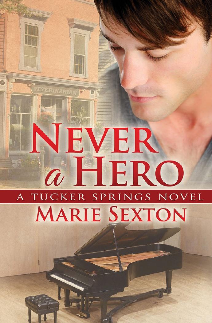 Never a Hero by Unknown
