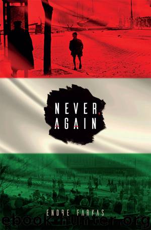Never, Again by Endre Farkas