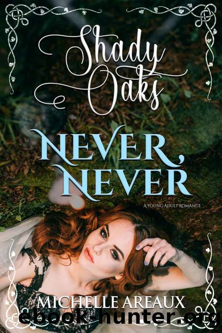 Never, Never by Michelle Areaux