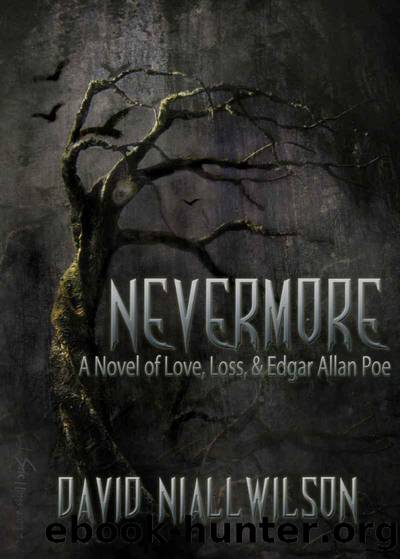 Nevermore by David Niall Wilson
