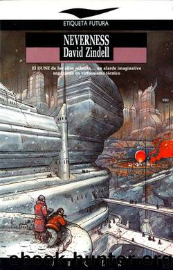 Neverness(c.1) by David Zindell