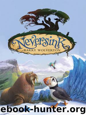 Neversink by Barry Wolverton