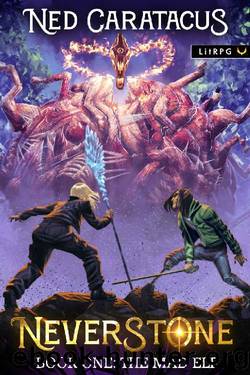 Neverstone: A LitRPG Adventure (The Mad Elf Book 1) by Ned Caratacus