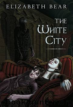New Amsterdam #03 - The White City by Elizabeth Bear