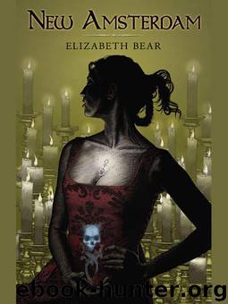 New Amsterdam by Elizabeth Bear