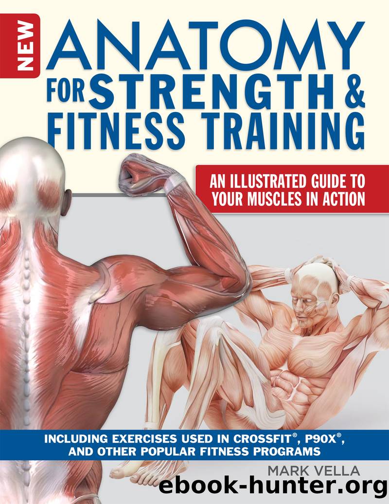 New Anatomy for Strength & Fitness Training by Vella Mark;