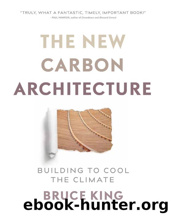 New Carbon Architecture by Bruce King