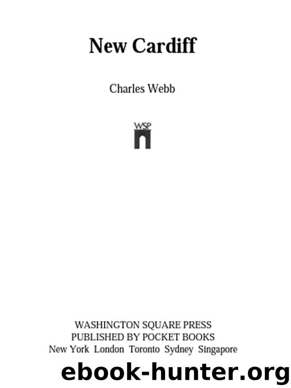 New Cardiff by Charles Webb
