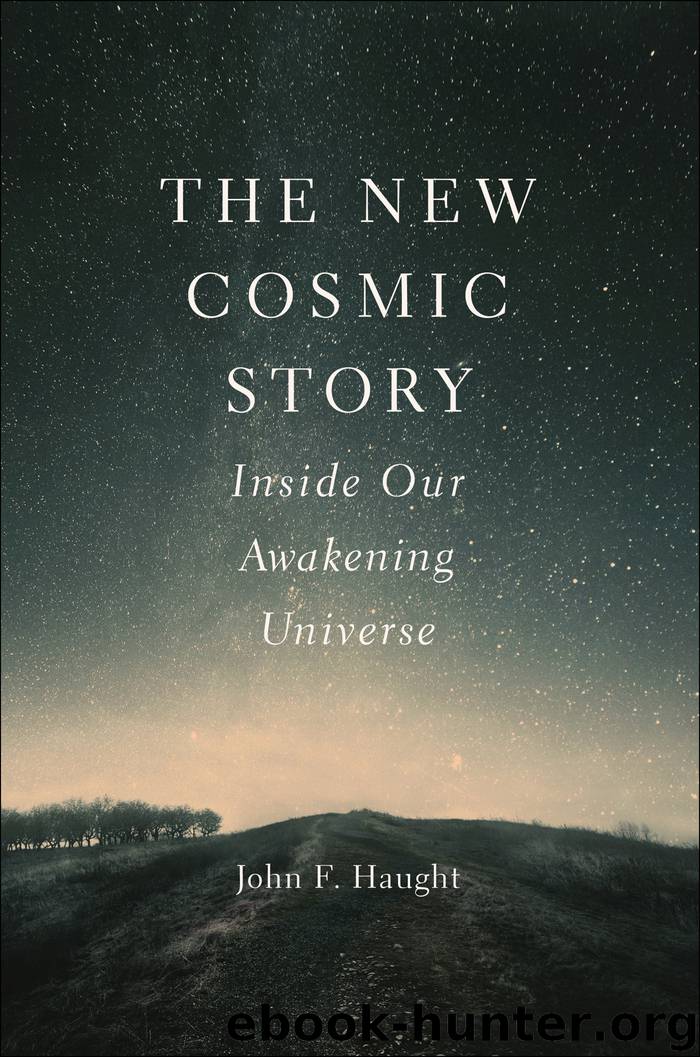 New Cosmic Story by John F. Haught