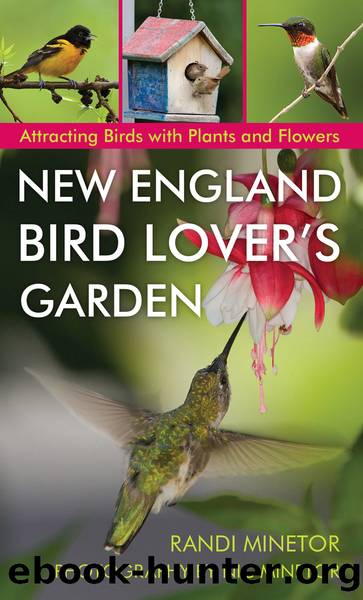 New England Bird Lover's Garden by Randi Minetor