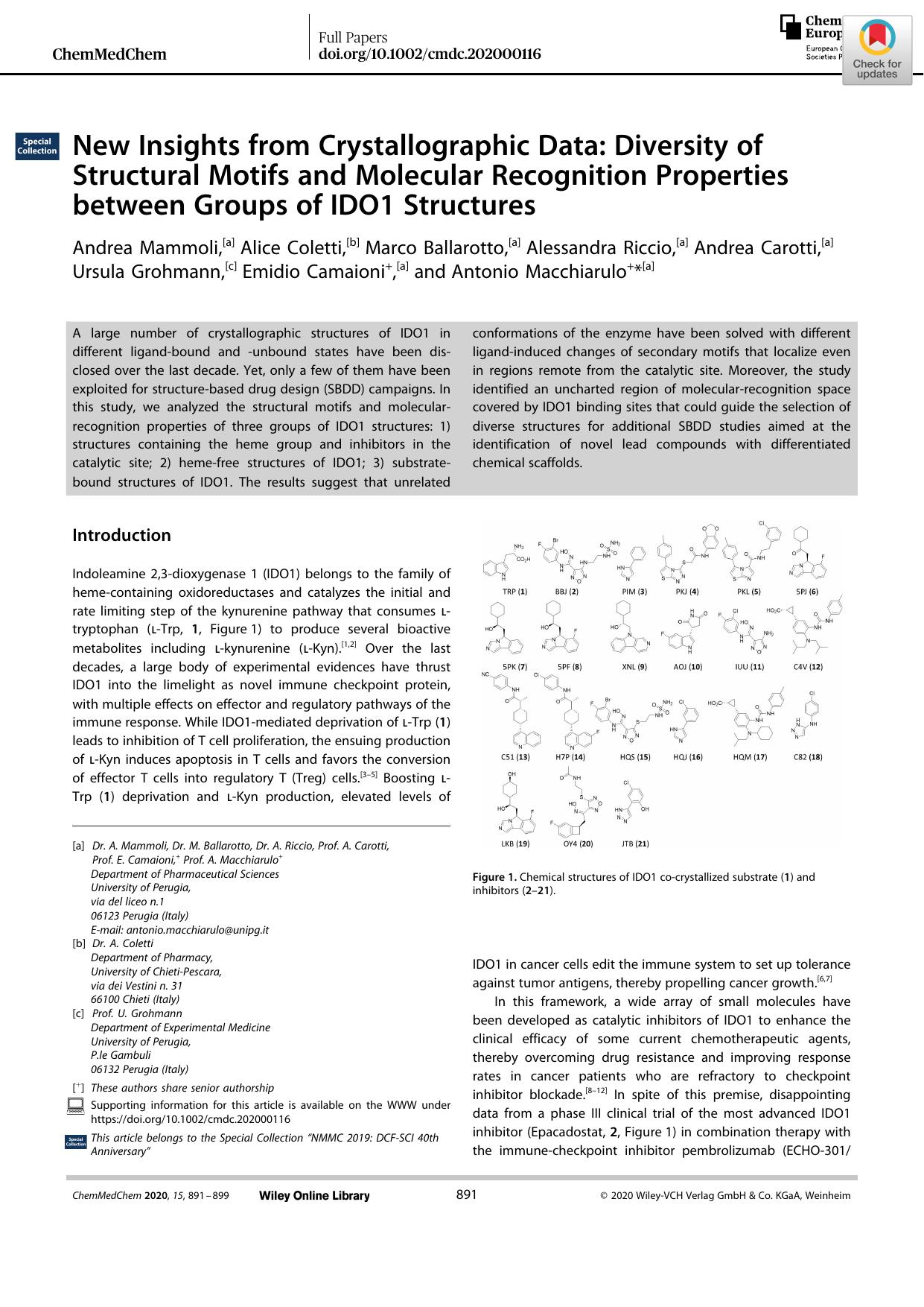 New Insights from Crystallographic Data: Diversity of Structural Motifs and Molecular Recognition Properties between Groups of IDO1 Structures by Unknown