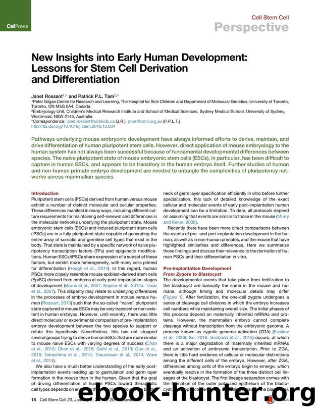 New Insights into Early Human Development: Lessons for Stem Cell Derivation and Differentiation by Janet Rossant & Patrick P.L. Tam