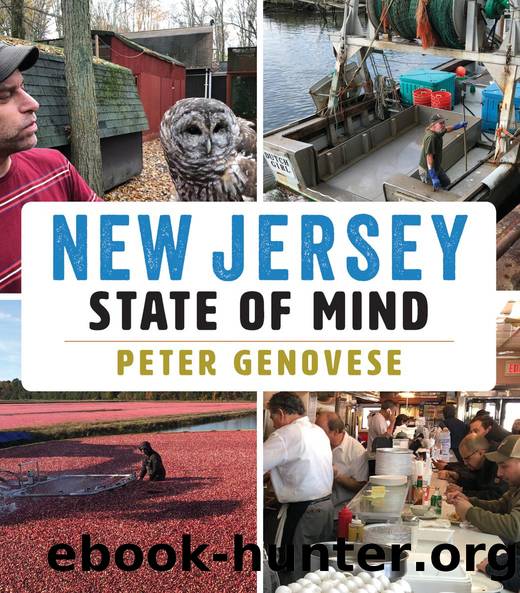 New Jersey State of Mind by Peter Genovese