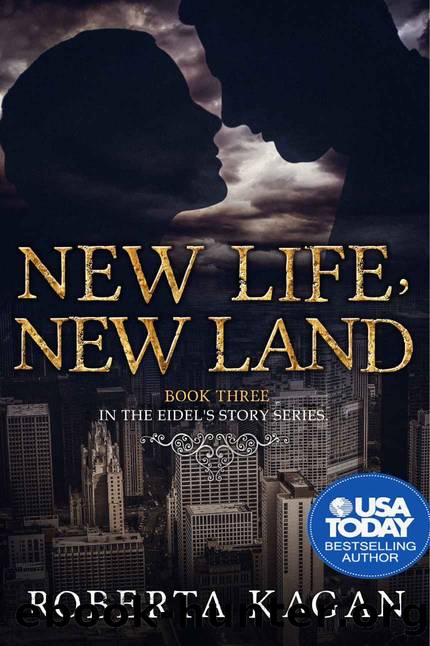 New Life, New Land: Book Three in the Eidel's Story Series by Roberta Kagan