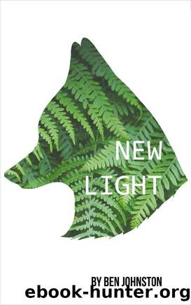 New Light by Ben Johnston