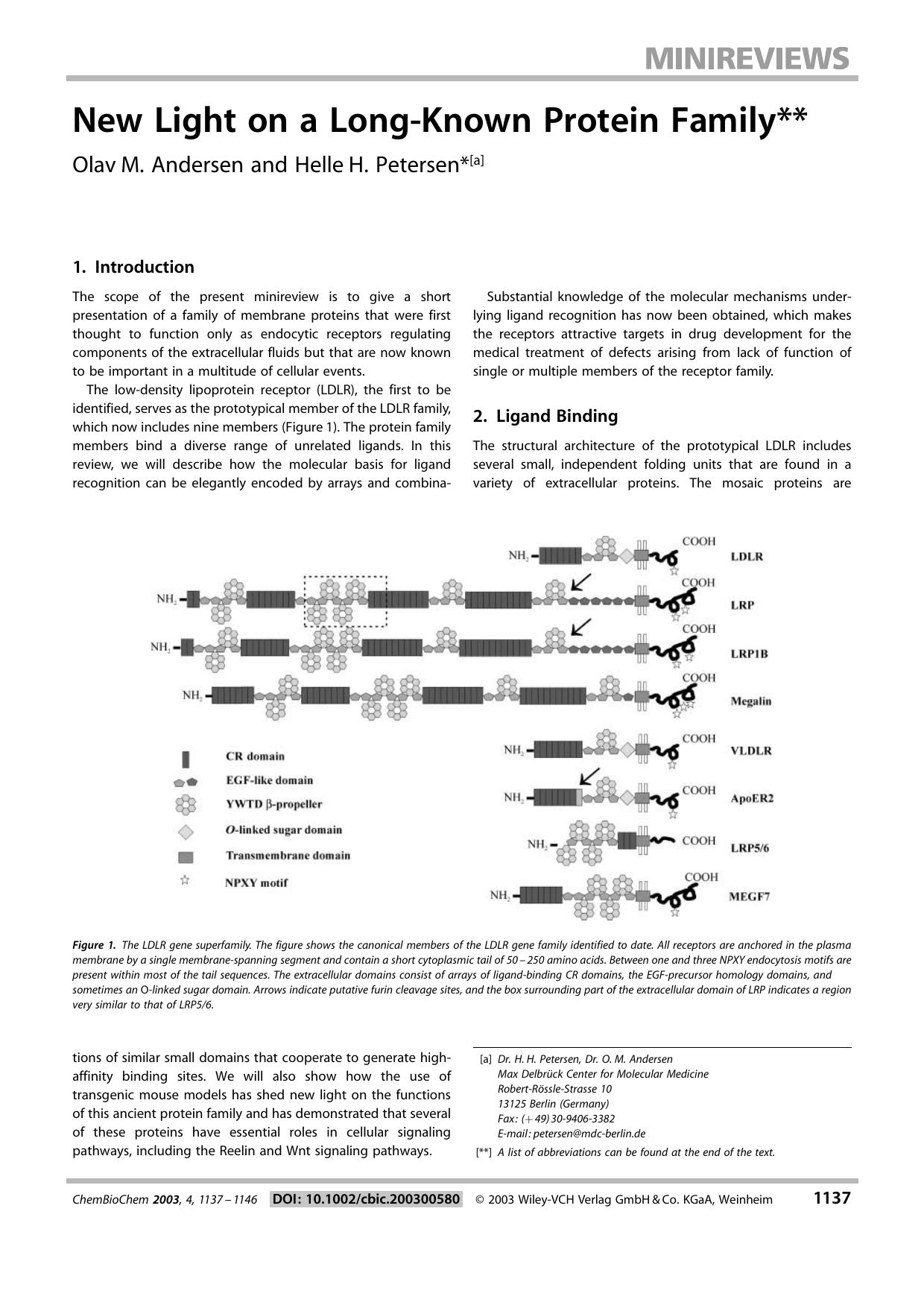 New Light on a Long-Known Protein Family by Unknown