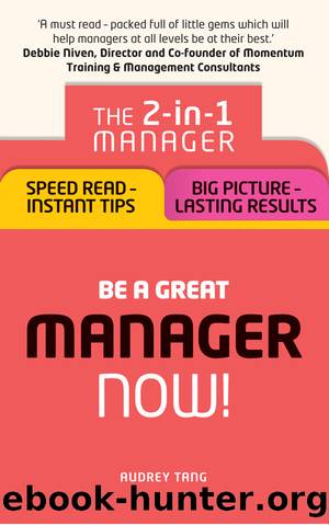 New Manager ePub by Audrey Tang