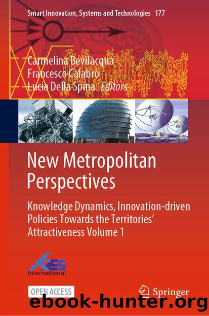 New Metropolitan Perspectives by Unknown
