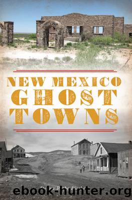 New Mexico Ghost Towns by Donna Blake Birchell