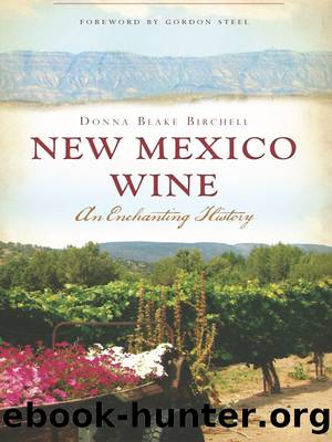 New Mexico Wine by Donna Blake Birchell