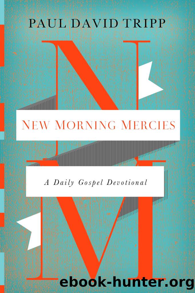 New Morning Mercies: A Daily Gospel Devotional by Paul David Tripp