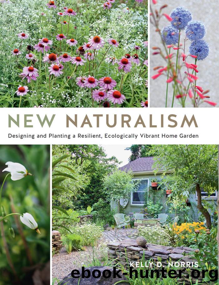 New Naturalism by Kelly D. Norris