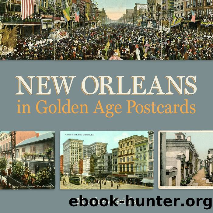 New Orleans in Golden Age Postcards by Matthew Griffis